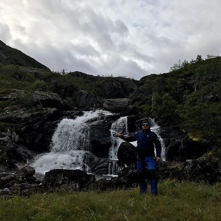Gullesfjord Camping Eksteriør billede